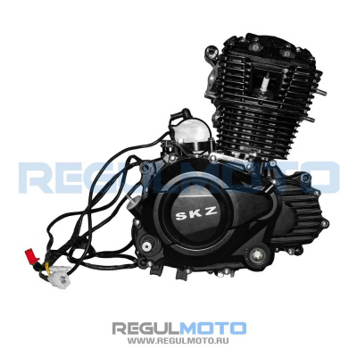 Двигатель TYNT200 EFI  203670