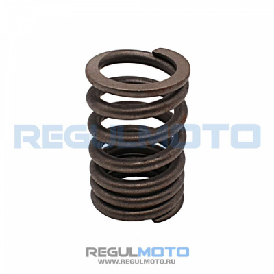 Пружина клапана ZS167FMM, 250GY-5   1051201-03200