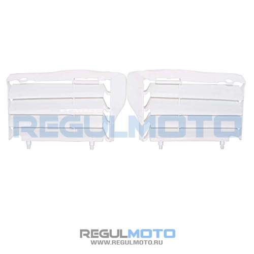 Решетка радиатора Regulmoto CR-Z 300