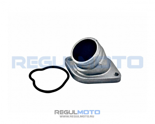 Коллектор впускной Regulmoto Nibbi N300-S NB300