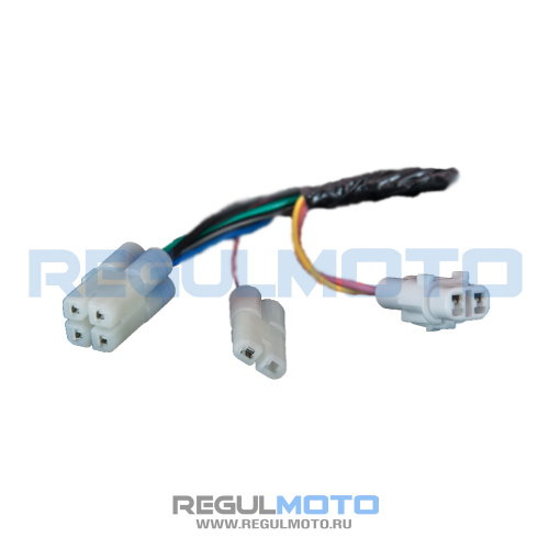 Жгут электропроводки Sport 003 PR250,300 с 2025г.