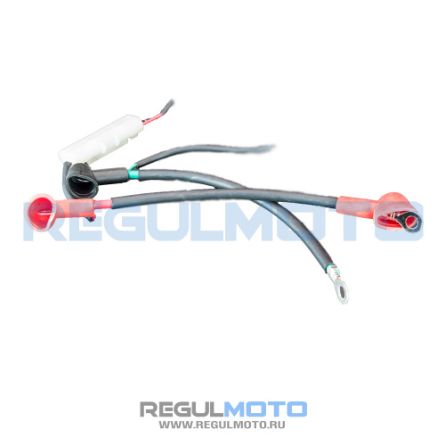 Жгут электропроводки Sport 003 PR250,300 с 2025г.