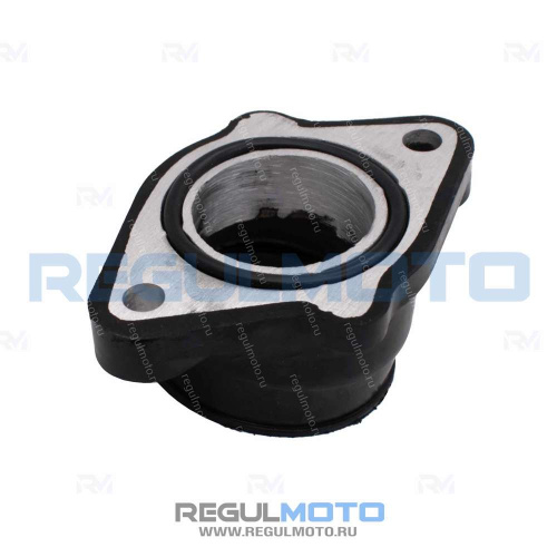 Коллектор впускной Regulmoto TE, Grizzly