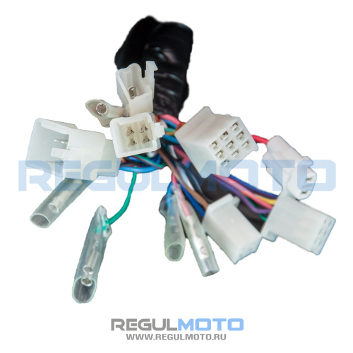 Жгут электропроводки Sport 003 PR250,300 с 2025г.