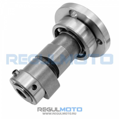Распредвал ГРМ ZS169FMM Sport001-006  +  100200189
