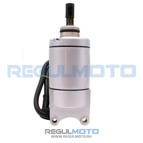 Электростартер в сборе ZS172FMM PR, CB300RL, PR300PRO