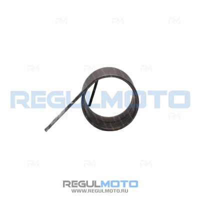 Пружина декомпрессора ZS177MM (NC250), NB300    100105010    1