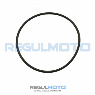 Кольцо уплотнительное 75х2,65 крышки звезды ГРМ ZS169FMM Sport001-006 +  100107823
