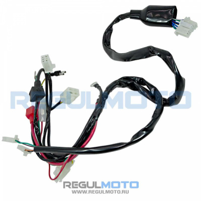 Жгут элпроводки Спитфайр      20901-063