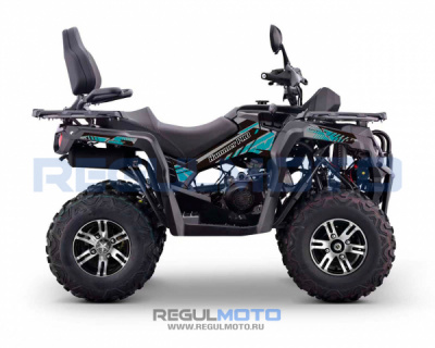Квадроцикл ATV220 Lux Long NEW (Черный, , 120182-2)