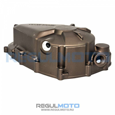Крышка правого картера двигателя (сцепления) ZS172FMM PR, 6ск., коричневая     100133669-0125      2