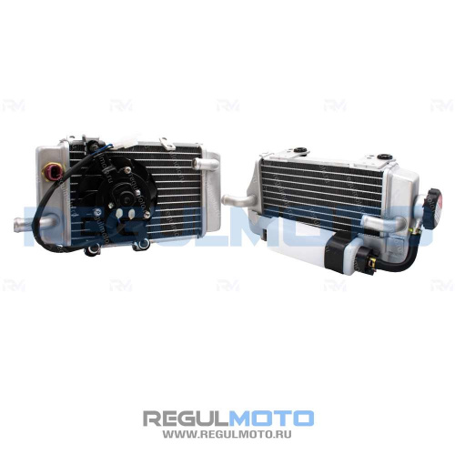Радиаторы охлаждения ДВС Regulmoto CR-Z 300