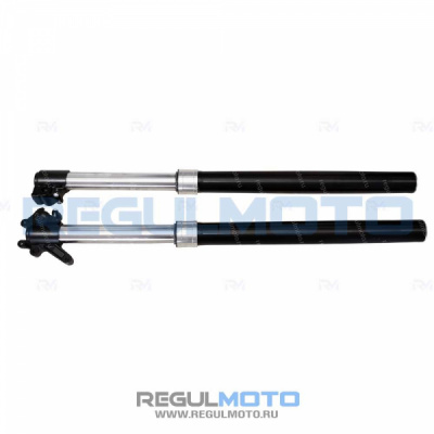 Амортизаторы передние Regulmoto TE, D=41mm 103509