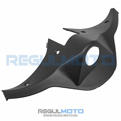 Облицовка замка зажигания Regulmoto Duke     210110001-0001