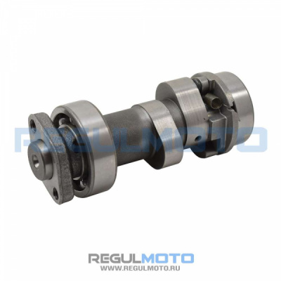 Распредвал ГРМ 172FMM, PR250, Sport 003, ZR  100104967   1