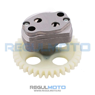 Масляный насос ZS172FMM-3 PR, Sport003, ZR  100081733  1