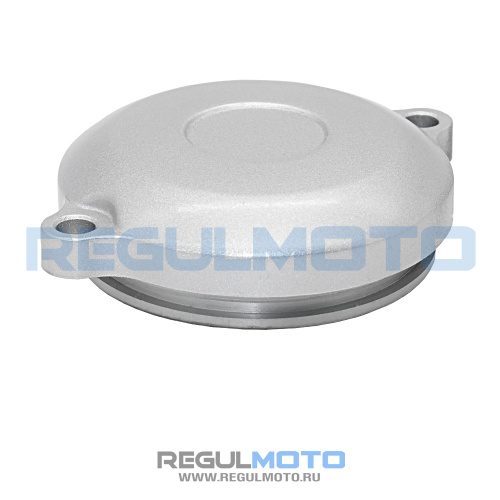 Крышка левого картера (шестерни электростартера) ZS172FMM PR300, CB300RL