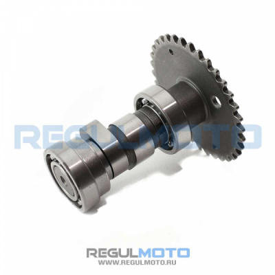 Распредвал ГРМ 139QMB, Longjia  3012057