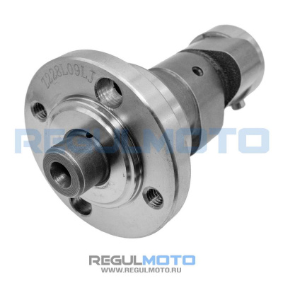 Распредвал ГРМ ZS169FMM Sport001-006  +  100200189   1
