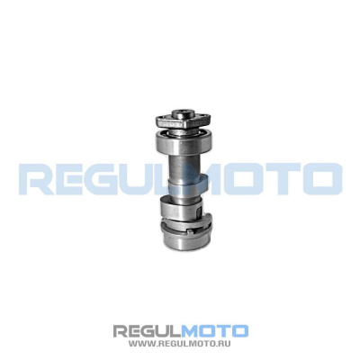 Распредвал ГРМ 172FMM, PR250, Sport 003, ZR  100104967
