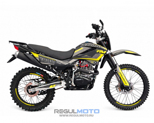 Мотоцикл Regulmoto Grizzly PR300 с ПТС (Черный/ желтый, , 302507-3)
