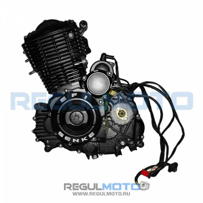 Двигатель TYNT200 EFI 203670   1