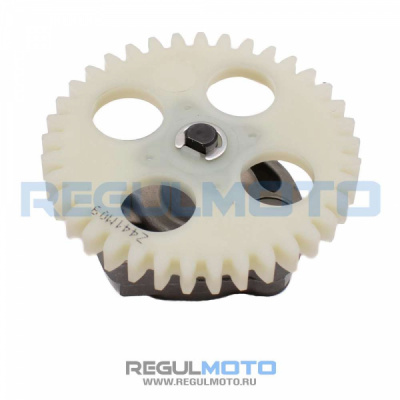 Масляный насос ZS172FMM-3 PR, Sport003, ZR  100081733