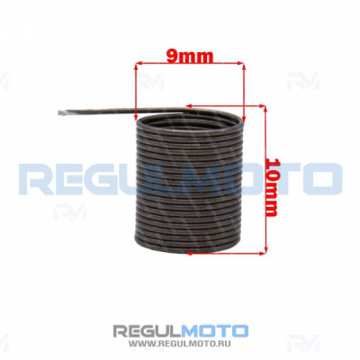 Пружина декомпрессора ZS177MM (NC250), NB300   100105010
